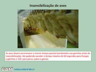 Insensibilização de aves
As aves devem permanecer o menor tempo possível penduradas nos ganchos antes da
insensibilização, não podendo exceder o tempo máximo de 60 segundos para frangos
e galinhas e 120 para perus, patos e gansos
CÁSSIA ALDRIN DE MELLO
 