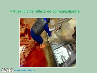 Ausência de reflexo de córnea/pálpebra
CÁSSIA ALDRIN DE MELLO
 