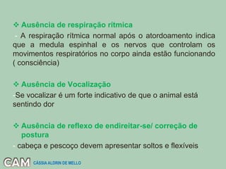  Ausência de respiração rítmica
- A respiração rítmica normal após o atordoamento indica
que a medula espinhal e os nervos que controlam os
movimentos respiratórios no corpo ainda estão funcionando
( consciência)
 Ausência de Vocalização
-Se vocalizar é um forte indicativo de que o animal está
sentindo dor
 Ausência de reflexo de endireitar-se/ correção de
postura
- cabeça e pescoço devem apresentar soltos e flexíveis
CÁSSIA ALDRIN DE MELLO
 