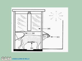 CÁSSIA ALDRIN DE MELLO
 