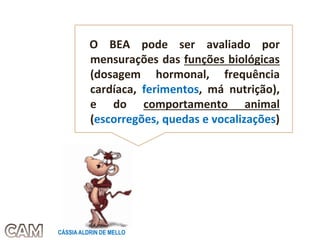 O BEA pode ser avaliado por
mensurações das funções biológicas
(dosagem hormonal, frequência
cardíaca, ferimentos, má nutrição),
e do comportamento animal
(escorregões, quedas e vocalizações)
CÁSSIA ALDRIN DE MELLO
 