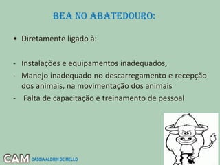 • Diretamente ligado à:
- Instalações e equipamentos inadequados,
- Manejo inadequado no descarregamento e recepção
dos animais, na movimentação dos animais
- Falta de capacitação e treinamento de pessoal
BEA no ABATEdouro:
CÁSSIA ALDRIN DE MELLO
 
