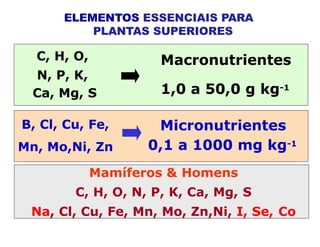 ELEMENTOS ESSENCIAIS PARA
PLANTAS SUPERIORES
Macronutrientes
1,0 a 50,0 g kg-1
C, H, O,
N, P, K,
Ca, Mg, S
B, Cl, Cu, Fe,
Mn, Mo,Ni, Zn
Micronutrientes
0,1 a 1000 mg kg-1
Mamíferos & Homens
C, H, O, N, P, K, Ca, Mg, S
Na, Cl, Cu, Fe, Mn, Mo, Zn,Ni, I, Se, Co
 
