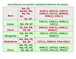 (*) (1) Frequência Mínima (10) Frequência Máxima
Boro
BA, CE,
ES,GO, MG,
PE, PR,
RJ,
SC, SP
ALG(1), BAT(3), CAF(7),
CAN(1), CIT(2), HOR(8),
PIN(2), VID(1)
Cobre MG, PR, SP
CAF(1), CAN(1), HOR(1),
CIT(1)
Ferro
CE, GO, PB,
PE, SP
ABX(3), CAF(2), CAN(1),
MAN(1)
Manganês
MG, PE, PR,
SP
CAF(1), CIT(3), CAN(1),
MAN(1)
Molibdênio
MA, MG, PE,
RS, SP CIT(1), HOR(4), PAS-LEG(1
Zinco
BA, ES, GO,
MG, PE, PR,
RS, RN, SP
ARR(2), CAF(8), CAN(1),
CIT(9), MIL(3), PES(2)
DEFICIÊNCIAS DE MACRO E MICRONUTRIENTES NO BRASIL
 
