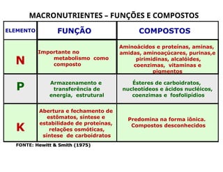 MACRONUTRIENTES – FUNÇÕES E COMPOSTOS
ELEMENTO FUNÇÃO COMPOSTOS
N
Importante no
metabolismo como
composto
Aminoácidos e proteínas, aminas,
amidas, aminoaçúcares, purinas,e
pirimidinas, alcalóides,
coenzimas, vitaminas e
pigmentos
P
Armazenamento e
transferência de
energia, estrutural
Ésteres de carboidratos,
nucleotídeos e ácidos nucléicos,
coenzimas e fosfolipídios
K
Abertura e fechamento de
estômatos, síntese e
estabilidade de proteínas,
relações osmóticas,
síntese de carboidratos
Predomina na forma iônica.
Compostos desconhecidos
FONTE: Hewitt & Smith (1975)
 