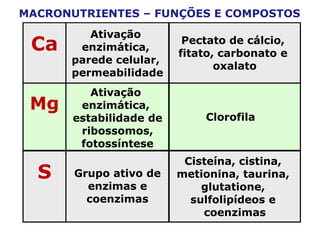 Ca
Ativação
enzimática,
parede celular,
permeabilidade
Pectato de cálcio,
fitato, carbonato e
oxalato
Mg
Ativação
enzimática,
estabilidade de
ribossomos,
fotossíntese
Clorofila
S Grupo ativo de
enzimas e
coenzimas
Cisteína, cistina,
metionina, taurina,
glutatione,
sulfolipídeos e
coenzimas
MACRONUTRIENTES – FUNÇÕES E COMPOSTOS
 