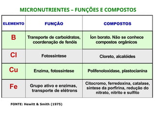 MICRONUTRIENTES – FUNÇÕES E COMPOSTOS
ELEMENTO FUNÇÃO COMPOSTOS
B Transporte de carboidratos,
coordenação de fenóis
Íon borato. Não se conhece
compostos orgânicos
Cl Fotossíntese Cloreto, alcalóides
Cu Enzima, fotossíntese Polifenoloxidase, plastocianina
Fe Grupo ativo e enzimas,
transporte de elétrons
Citocromo, ferredoxina, catalase,
síntese da porfirina, redução do
nitrato, nitrito e sulfito
FONTE: Hewitt & Smith (1975)
 