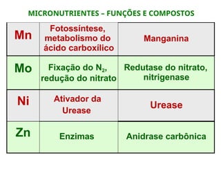 Mn
Fotossíntese,
metabolismo do
ácido carboxílico
Manganina
Mo Fixação do N2,
redução do nitrato
Redutase do nitrato,
nitrigenase
Ni Ativador da
Urease
Urease
Zn Enzimas Anidrase carbônica
MICRONUTRIENTES – FUNÇÕES E COMPOSTOS
 