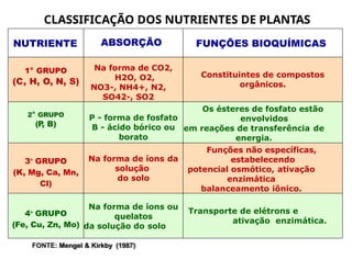 CLASSIFICAÇÃO DOS NUTRIENTES DE PLANTAS
FONTE: Mengel & Kirkby (1987)
NUTRIENTE ABSORÇÃO FUNÇÕES BIOQUÍMICAS
1° GRUPO
(C, H, O, N, S)
Na forma de CO2,
H2O, O2,
NO3-, NH4+, N2,
SO42-, SO2
Constituintes de compostos
orgânicos.
2° GRUPO
(P
, B)
P - forma de fosfato
B - ácido bórico ou
borato
Os ésteres de fosfato estão
envolvidos
em reações de transferência de
energia.
3° GRUPO
(K, Mg, Ca, Mn,
Cl)
Na forma de íons da
solução
do solo
Funções não específicas,
estabelecendo
potencial osmótico, ativação
enzimática
balanceamento iônico.
4° GRUPO
(Fe, Cu, Zn, Mo)
Na forma de íons ou
quelatos
da solução do solo
Transporte de elétrons e
ativação enzimática.
 