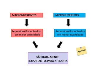 MACRONUTRIENTES MICRONUTRIENTES
Requeridos/Encontrados
em maior quantidade
Requeridos/Encontrados
em menor quantidade
SÃO IGUALMENTE
IMPORTANTES PARA A PLANTA
 