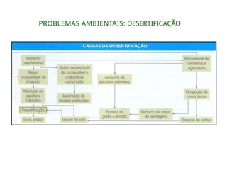 PROBLEMAS AMBIENTAIS: DESERTIFICAÇÃO
 