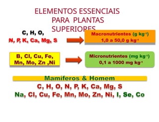 ELEMENTOS ESSENCIAIS
PARA PLANTAS
SUPERIORES
Se
Micronutrientes (mg kg-1)
0,1 a 1000 mg kg-1
Macronutrientes (g kg-1)
1,0 a 50,0 g kg-1
C, H, O,
N, P
, K, Ca, Mg, S
B, Cl, Cu, Fe,
Mn, Mo, Zn ,Ni
 