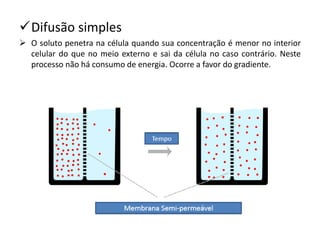 ✓Difusão simples
➢ O soluto penetra na célula quando sua concentração é menor no interior
celular do que no meio externo e sai da célula no caso contrário. Neste
processo não há consumo de energia. Ocorre a favor do gradiente.
 