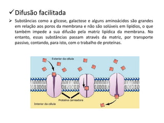 ✓Difusão facilitada
➢ Substâncias como a glicose, galactose e alguns aminoácidos são grandes
em relação aos poros da membrana e não são solúveis em lipídios, o que
também impede a sua difusão pela matriz lipídica da membrana. No
entanto, essas substâncias passam através da matriz, por transporte
passivo, contando, para isto, com o trabalho de proteínas.
 