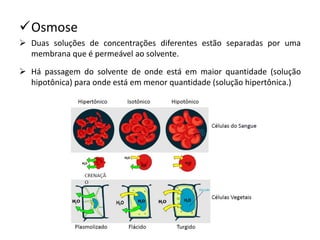 ✓Osmose
➢ Duas soluções de concentrações diferentes estão separadas por uma
membrana que é permeável ao solvente.
➢ Há passagem do solvente de onde está em maior quantidade (solução
hipotônica) para onde está em menor quantidade (solução hipertônica.)
 