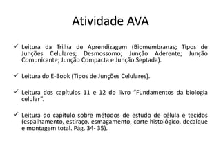 Atividade AVA
✓ Leitura da Trilha de Aprendizagem (Biomembranas; Tipos de
Junções Celulares; Desmossomo; Junção Aderente; Junção
Comunicante; Junção Compacta e Junção Septada).
✓ Leitura do E-Book (Tipos de Junções Celulares).
✓ Leitura dos capítulos 11 e 12 do livro “Fundamentos da biologia
celular”.
✓ Leitura do capítulo sobre métodos de estudo de célula e tecidos
(espalhamento, estiraço, esmagamento, corte histológico, decalque
e montagem total. Pág. 34- 35).
 