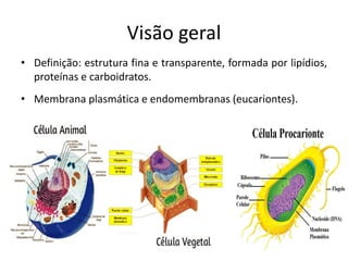 Visão geral
• Definição: estrutura fina e transparente, formada por lipídios,
proteínas e carboidratos.
• Membrana plasmática e endomembranas (eucariontes).
 