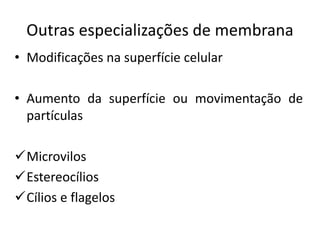Outras especializações de membrana
• Modificações na superfície celular
• Aumento da superfície ou movimentação de
partículas
✓Microvilos
✓Estereocílios
✓Cílios e flagelos
 