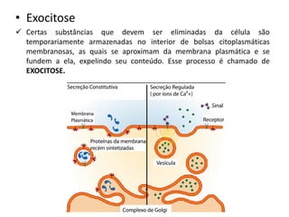 Aula 2 - ok - Biomembranas.pdf