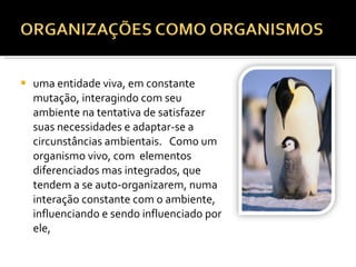 uma entidade viva, em constante mutação, interagindo com seu ambiente na tentativa de satisfazer suas necessidades e adaptar-se a circunstâncias ambientais.     Como um organismo vivo, com  elementos diferenciados mas integrados, que tendem a se auto-organizarem, numa interação constante com o ambiente, influenciando e sendo influenciado por ele, 