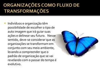 Indivíduos e organização têm possibilidade de escolher o tipo de auto imagem que irá guiar suas ações e delinear seu futuro.   Nesse sentido, deve-se considerar que as organizações se transformam em conjunto com seu meio ambiente, levando a compreender que o padrão de organização que se vai revelando com o passar do tempo é evolutivo.      