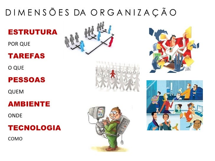 Aula 2 - Organizações e Organização