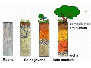 Aula 2   O Solo Como Corpo Natural