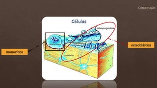 osteoblástica
monocítica
 
