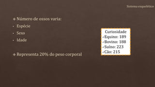 Curiosidade
Equino: 189
Bovino: 188
Suíno: 223
Cão: 215
 