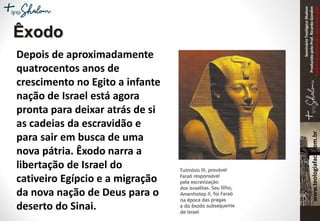 SeminárioTeológicoShalom
ProduzidopeloProf.RicardoGondim
Proibidaareproduçãosemautorização
Êxodo
Depois de aproximadamente
quatrocentos anos de
crescimento no Egito a infante
nação de Israel está agora
pronta para deixar atrás de si
as cadeias da escravidão e
para sair em busca de uma
nova pátria. Êxodo narra a
libertação de Israel do
cativeiro Egípcio e a migração
da nova nação de Deus para o
deserto do Sinai.
 