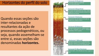 Horizontes do perfil do solo
Quando essas seções são
inter-relacionadas e
resultantes da ação de
processos pedogenéticos, ou
seja, quando assemelham-se
entre si, essas seções são
denominadas horizontes.
 