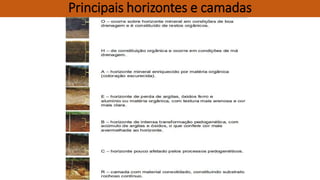 Principais horizontes e camadas
 
