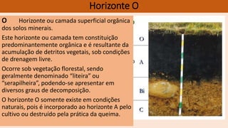 Horizonte O
O Horizonte ou camada superficial orgânica
dos solos minerais.
Este horizonte ou camada tem constituição
predominantemente orgânica e é resultante da
acumulação de detritos vegetais, sob condições
de drenagem livre.
Ocorre sob vegetação florestal, sendo
geralmente denominado “liteira” ou
“serapilheira”, podendo-se apresentar em
diversos graus de decomposição.
O horizonte O somente existe em condições
naturais, pois é incorporado ao horizonte A pelo
cultivo ou destruído pela prática da queima.
 