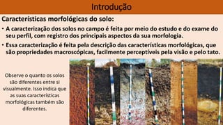Características morfológicas do solo:
• A caracterização dos solos no campo é feita por meio do estudo e do exame do
seu perfil, com registro dos principais aspectos da sua morfologia.
• Essa caracterização é feita pela descrição das características morfológicas, que
são propriedades macroscópicas, facilmente perceptíveis pela visão e pelo tato.
Introdução
Observe o quanto os solos
são diferentes entre si
visualmente. Isso indica que
as suas características
morfológicas também são
diferentes.
 