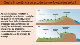 As características refletem a
constituição do solo e as condições
no qual ele foi formado, o que
permite fazer inferências sobre os
processos pedogenéticos e as
condições ambientais, bem como
interpretar ou predizer o
comportamento das plantas e a
resposta do solo às práticas de
manejo.
Qual a importância do estudo da morfologia dos solos?
 