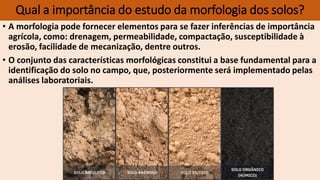 • A morfologia pode fornecer elementos para se fazer inferências de importância
agrícola, como: drenagem, permeabilidade, compactação, susceptibilidade à
erosão, facilidade de mecanização, dentre outros.
• O conjunto das características morfológicas constitui a base fundamental para a
identificação do solo no campo, que, posteriormente será implementado pelas
análises laboratoriais.
Qual a importância do estudo da morfologia dos solos?
 