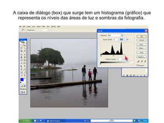 A caixa de diálogo (box) que surge tem um histograma (gráfico) que representa os níveis das áreas de luz e sombras da fotografia.  