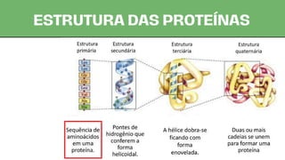 A aula explora as proteínas, polímeros formados por aminoácidos. São ...