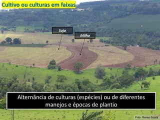 Cultivo ou culturas em faixas
Alternância de culturas (espécies) ou de diferentes
manejos e épocas de plantio
Foto: Ronan Souza
Soja
Milho
 