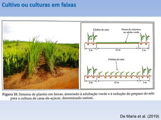 Cultivo ou culturas em faixas
Soja
novembro Soja
dezembro
De Maria et al. (2019)
 