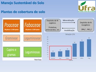 Manejo Sustentável do Solo
Plantas de cobertura de solo
20
25
30
60
70
80
0
10
20
30
40
50
60
70
80
90
Pueraria Soja Feijão Marandu Milho Trigo
Espécie
Relação C/N
 