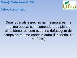 Manejo Sustentável do Solo
Cultivo consorciado
Duas ou mais espécies na mesma área, na
mesma época, com semeadura ou plantio
simultâneo, ou com pequena defasagem de
tempo entre uma época e outra (De Maria, et
al. 2019)
 