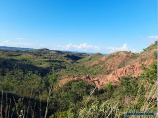 Manejo Sustentável do Solo
Degradação dos solos pela erosão
Foto Ronan Souza
 