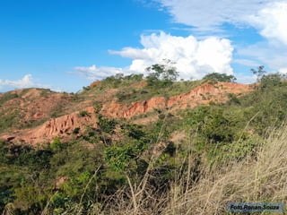 Manejo Sustentável do Solo
Degradação dos solos pela erosão
Foto Ronan Souza
 