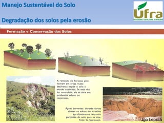 Igo Lepsch
Manejo Sustentável do Solo
Degradação dos solos pela erosão
 