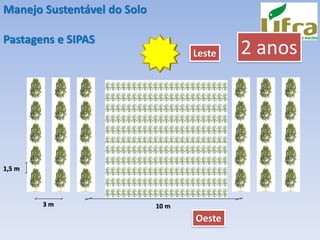 1,5 m
3 m 10 m
Leste
Oeste
2 anos
Manejo Sustentável do Solo
Pastagens e SIPAS
 