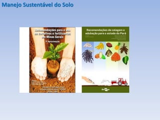 Manejo Sustentável do Solo
 