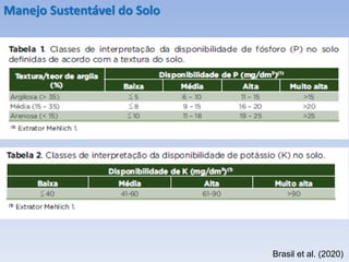Brasil et al. (2020)
Manejo Sustentável do Solo
 