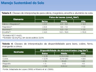 Manejo Sustentável do Solo
 