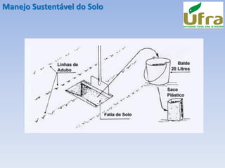 Manejo Sustentável do Solo
 